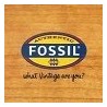 Fossil donna