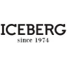 Iceberg
